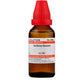 Dr. Willmar Schwabe India Verbena Hastata Dilution | Swadesiicart